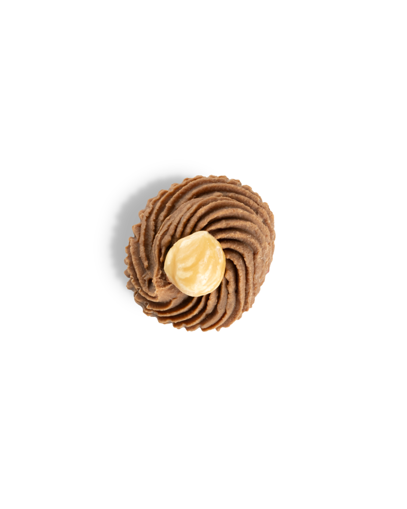 Dressé Noisette