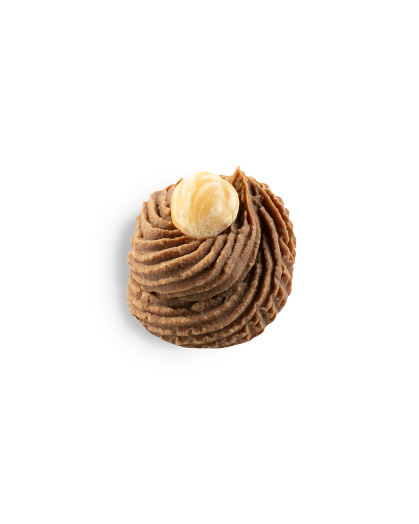 Dressé Noisette