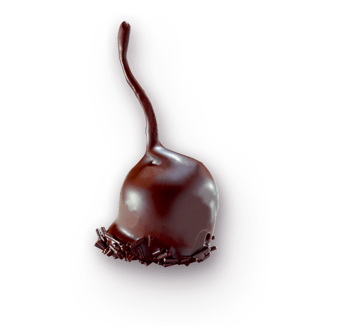 Cerisette