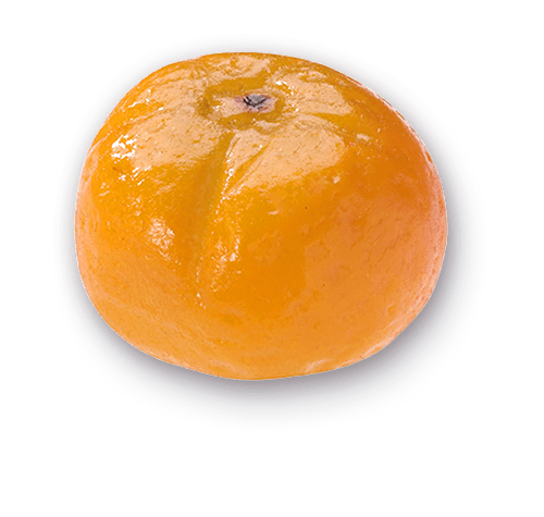 Mandarine en Massepain 25g