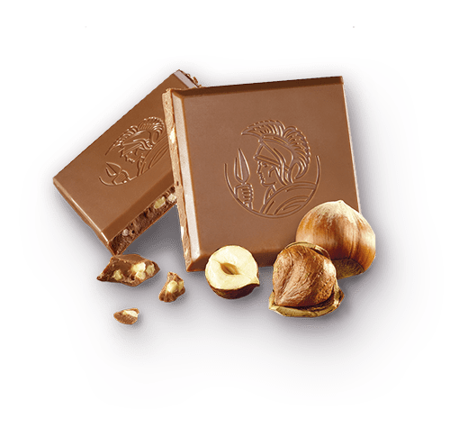 Tablette Chocolat au Lait Noisettes 100g